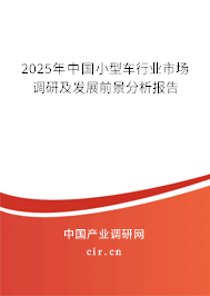 2024年中國(guó)小型車行業(yè)市場(chǎng)調(diào)研及發(fā)展前景分析報(bào)告
