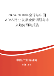 2024-2030年全球與中國(guó)ADAS行業(yè)發(fā)展全面調(diào)研與未來趨勢(shì)預(yù)測(cè)報(bào)告