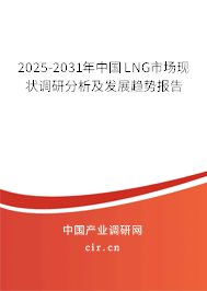 2025-2031年中國LNG市場現(xiàn)狀調(diào)研分析及發(fā)展趨勢報告