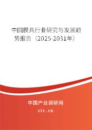 中國模具行業(yè)研究與發(fā)展趨勢報告（2025-2031年）