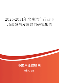 2025-2031年北京汽車行業(yè)市場調(diào)研與發(fā)展趨勢研究報告