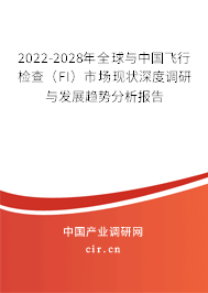 2022-2028年全球與中國飛行檢查（FI）市場現(xiàn)狀深度調(diào)研與發(fā)展趨勢分析報告