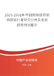 2025-2031年中國聚磷酸和聚磷酸銨行業(yè)研究分析及發(fā)展趨勢預測報告