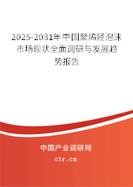 2025-2031年中國(guó)聚烯烴泡沫市場(chǎng)現(xiàn)狀全面調(diào)研與發(fā)展趨勢(shì)報(bào)告
