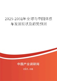 2025-2031年全球與中國(guó)體感車(chē)發(fā)展現(xiàn)狀及趨勢(shì)預(yù)測(cè)
