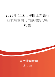 2026年全球與中國(guó)壓力表行業(yè)發(fā)展調(diào)研與發(fā)展趨勢(shì)分析報(bào)告