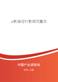 v項目可行性研究報告 v項目可行性研究報告