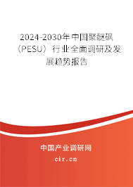 2024-2030年中國(guó)聚醚砜（PESU）行業(yè)全面調(diào)研及發(fā)展趨勢(shì)報(bào)告