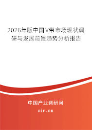 2026年版中國V帶市場現(xiàn)狀調(diào)研與發(fā)展前景趨勢分析報(bào)告