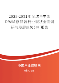 2025-2031年全球與中國DRAM存儲器行業(yè)現(xiàn)狀全面調(diào)研與發(fā)展趨勢分析報告
