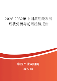 2026-2032年中國氟硼酸發(fā)展現(xiàn)狀分析與前景趨勢報告