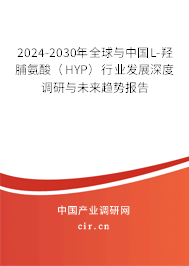 2024-2030年全球與中國L-羥脯氨酸（HYP）行業(yè)發(fā)展深度調(diào)研與未來趨勢報告