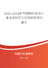 2025-2031年中國地?zé)岚l(fā)電行業(yè)發(fā)展研究與前景趨勢預(yù)測報告
