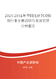 2025-2031年中國光伏TCO玻璃行業(yè)全面調(diào)研與發(fā)展前景分析報告