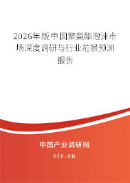 2026年版中國(guó)聚氨酯泡沫市場(chǎng)深度調(diào)研與行業(yè)前景預(yù)測(cè)報(bào)告