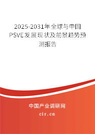 2025-2031年全球與中國PSVE發(fā)展現(xiàn)狀及前景趨勢(shì)預(yù)測報(bào)告