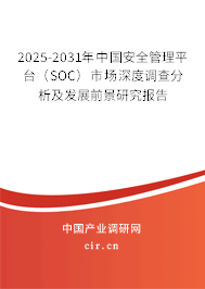 2025-2031年中國安全管理平臺（SOC）市場深度調查分析及發(fā)展前景研究報告