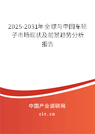 2025-2031年全球與中國車輪子市場現(xiàn)狀及前景趨勢分析報告