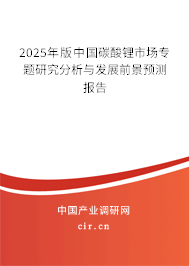 2025年版中國碳酸鋰市場專題研究分析與發(fā)展前景預(yù)測報告