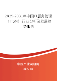 2025-2031年中國IT服務(wù)管理（ITSM）行業(yè)分析及發(fā)展趨勢報告