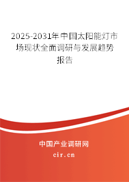 2025-2031年中國(guó)太陽能燈市場(chǎng)現(xiàn)狀全面調(diào)研與發(fā)展趨勢(shì)報(bào)告