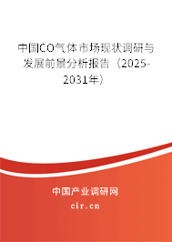 中國CO氣體市場現(xiàn)狀調(diào)研與發(fā)展前景分析報告（2025-2031年）