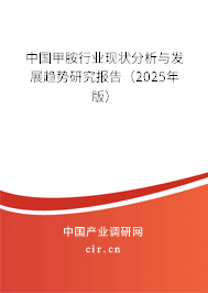 中國甲胺行業(yè)現(xiàn)狀分析與發(fā)展趨勢研究報告（2025年版）