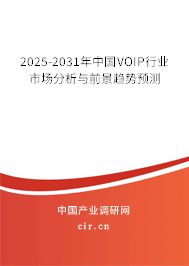 2025-2031年中國(guó)VOIP行業(yè)市場(chǎng)分析與前景趨勢(shì)預(yù)測(cè)