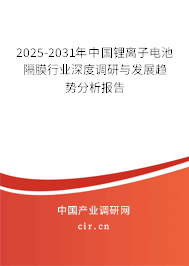 2025-2031年中國(guó)鋰離子電池隔膜行業(yè)深度調(diào)研與發(fā)展趨勢(shì)分析報(bào)告