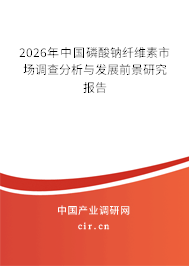 2026年中國磷酸鈉纖維素市場調查分析與發(fā)展前景研究報告 2026年中國磷酸鈉纖維素市場調查分析與發(fā)展前景研究報告
