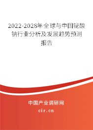 2022-2028年全球與中國鉍酸鈉行業(yè)分析及發(fā)展趨勢預(yù)測報告