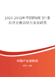 2025-2031年中國核閥門行業(yè)現(xiàn)狀全面調(diào)研與發(fā)展趨勢