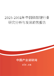2025-2031年中國磷酸鋰行業(yè)研究分析與發(fā)展趨勢報告