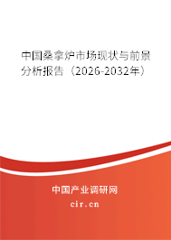 中國桑拿爐市場現(xiàn)狀與前景分析報告（2026-2032年）