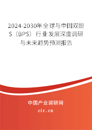 2024-2030年全球與中國雙酚S（BPS）行業(yè)發(fā)展深度調(diào)研與未來趨勢預(yù)測報告