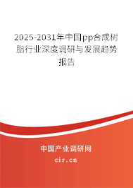 2025-2031年中國pp合成樹脂行業(yè)深度調(diào)研與發(fā)展趨勢報告