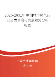 2025-2031年中國(guó)城市燃?xì)庑袠I(yè)全面調(diào)研與發(fā)展趨勢(shì)分析報(bào)告
