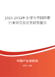 2025-2031年全球與中國碲靶行業(yè)研究及前景趨勢報告