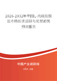 2026-2032年中國L-肉堿鹽酸鹽市場現(xiàn)狀調(diào)研與前景趨勢預測報告