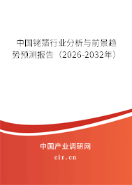 中國銠箔行業(yè)分析與前景趨勢預測報告（2026-2032年）