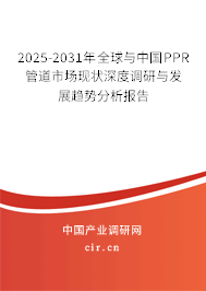 2025-2031年全球與中國PPR管道市場現(xiàn)狀深度調(diào)研與發(fā)展趨勢分析報告