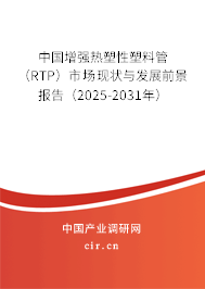 中國增強熱塑性塑料管（RTP）市場現(xiàn)狀與發(fā)展前景報告（2025-2031年）