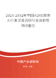 2025-2031年中國ADAS攝像頭行業(yè)深度調(diào)研與發(fā)展趨勢(shì)預(yù)測(cè)報(bào)告