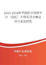 2025-2031年中國安全管理平臺（SOC）市場現(xiàn)狀全面調(diào)研與發(fā)展趨勢