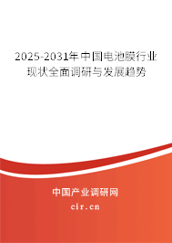 2025-2031年中國電池膜行業(yè)現(xiàn)狀全面調(diào)研與發(fā)展趨勢