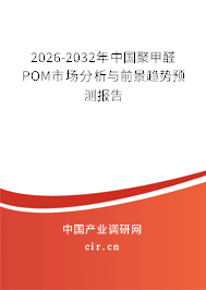 2026-2032年中國聚甲醛POM市場分析與前景趨勢預(yù)測報告