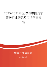 2025-2031年全球與中國汽車養(yǎng)護(hù)行業(yè)研究及市場前景報(bào)告