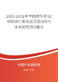 2025-2031年中國維生素B2磷酸鈉行業(yè)發(fā)展深度調(diào)研與未來趨勢預(yù)測報告