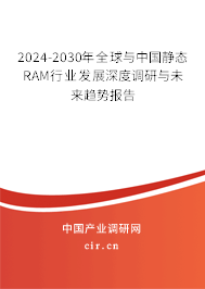 2024-2030年全球與中國靜態(tài)RAM行業(yè)發(fā)展深度調(diào)研與未來趨勢報(bào)告