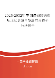 2026-2032年中國過硼酸鈉市場現(xiàn)狀調研與發(fā)展前景趨勢分析報告